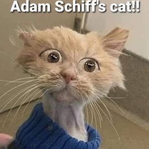 Meet your Posher, Madonna